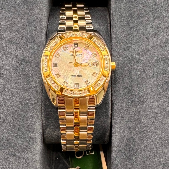 Citizen Accessories - Citizen Paladion Eco Drive Women's Two Tone Watch | Diamond Set | Solar Watch
